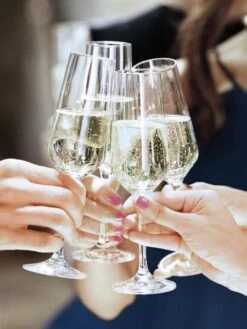 MM Extra Sekt Trocken -Getränkeladen 4504070121 4011900800108 05.jpg